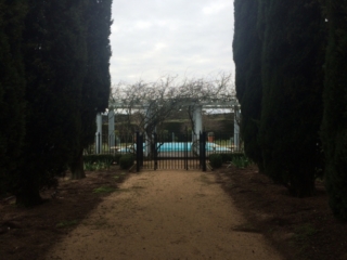 Black wrought iron pool fence and pedestrian gate