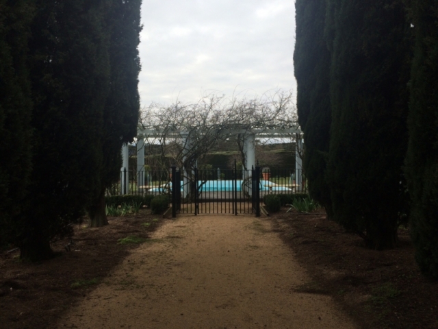 Black wrought iron pool fence and pedestrian gate