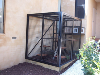Cat Enclosure