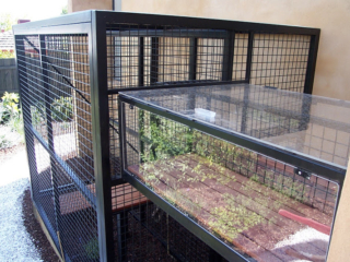 Cat Enclosure