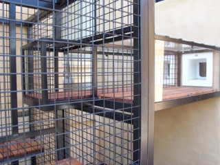 Cat Enclosure