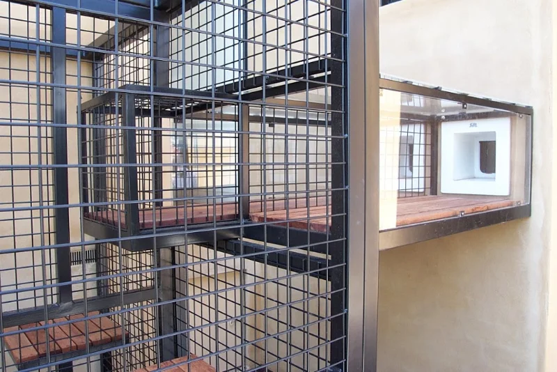 Cat Enclosure
