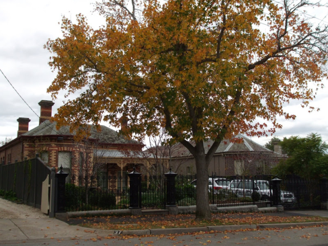 Black wrought iron fence and gate