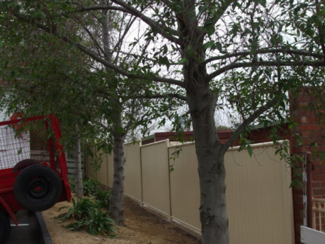 Colorbond Boundary Fence