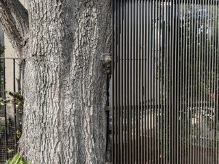 Steel blade louvre fence - Toorak toorak-steel-blade-louvre-fence