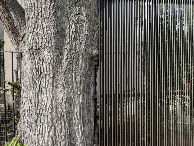 toorak-steel-blade-louvre-fence